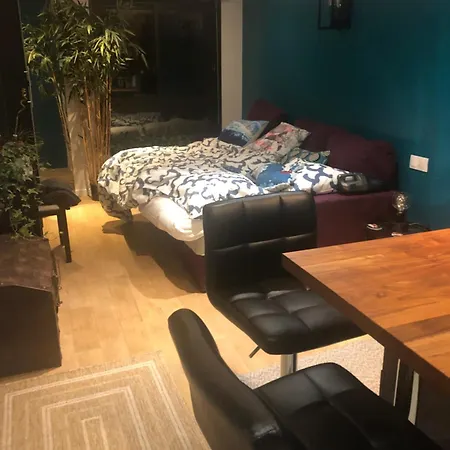 Centre Saint-germain Montparnasse Metro Vavin Rer Port Royal アパート